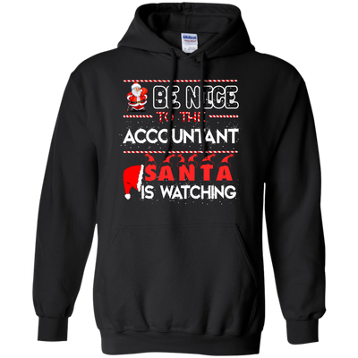 Be Nice To The Accountant Shirt, Hoodie, Tank - ifrogtees