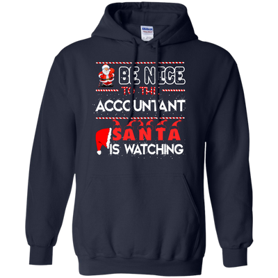 Be Nice To The Accountant Shirt, Hoodie, Tank - ifrogtees