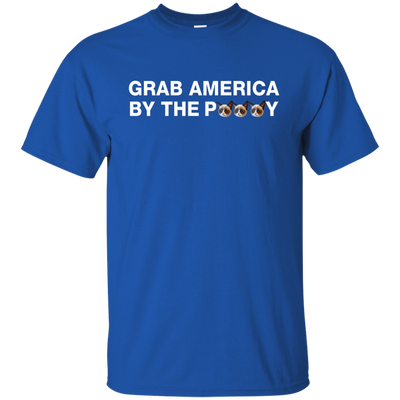 Funny Grab America by the Pussy Shirt, Hoodie, Tank