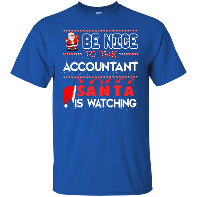 Be Nice To The Accountant Shirt, Hoodie, Tank - ifrogtees