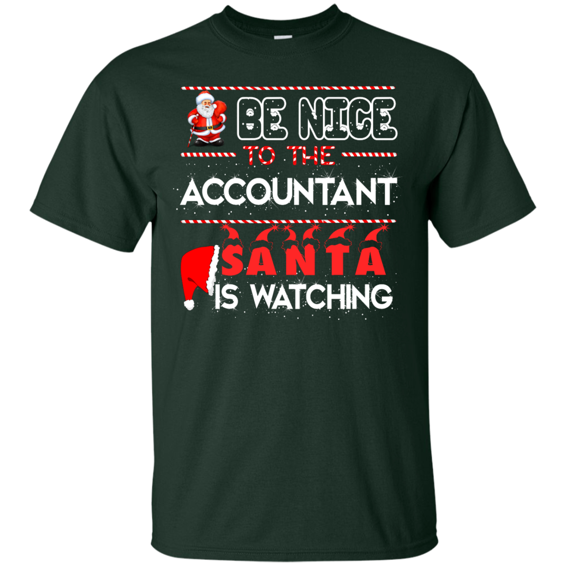 Be Nice To The Accountant Shirt, Hoodie, Tank - ifrogtees