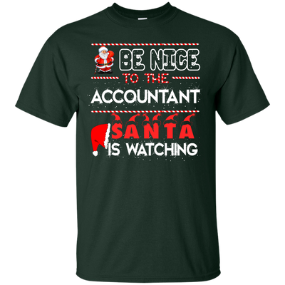 Be Nice To The Accountant Shirt, Hoodie, Tank - ifrogtees