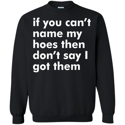If You Can't Name My Hoes Then Don't Say Got Them shirt, tank, sweater