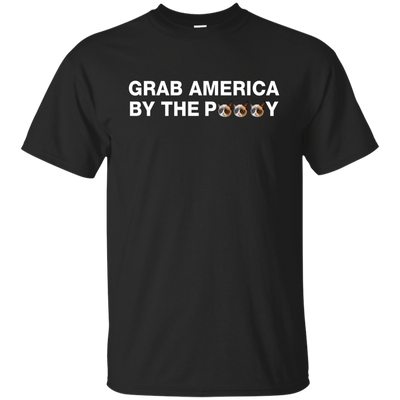 Funny Grab America by the Pussy Shirt, Hoodie, Tank