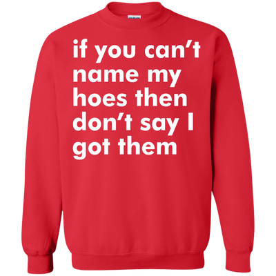 If You Can't Name My Hoes Then Don't Say Got Them shirt, tank, sweater