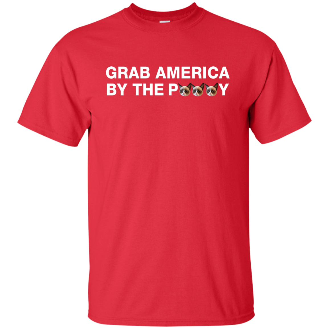 Funny Grab America by the Pussy Shirt, Hoodie, Tank - ifrogtees
