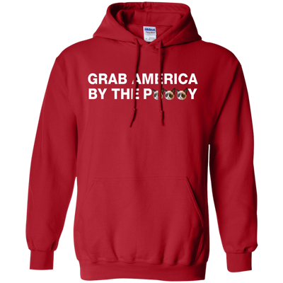 Funny Grab America by the Pussy Shirt, Hoodie, Tank