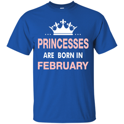Princesses Are Born in February Shirt, Hoodie, Tank