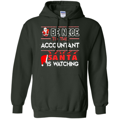 Be Nice To The Accountant Shirt, Hoodie, Tank - ifrogtees